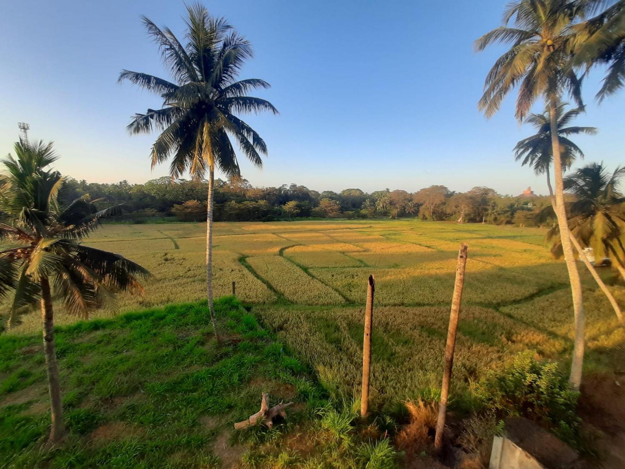 Anuradhapura Kingdom View Resort Εξωτερικό φωτογραφία