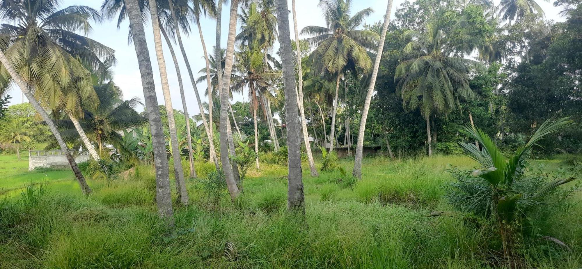 Anuradhapura Kingdom View Resort Εξωτερικό φωτογραφία