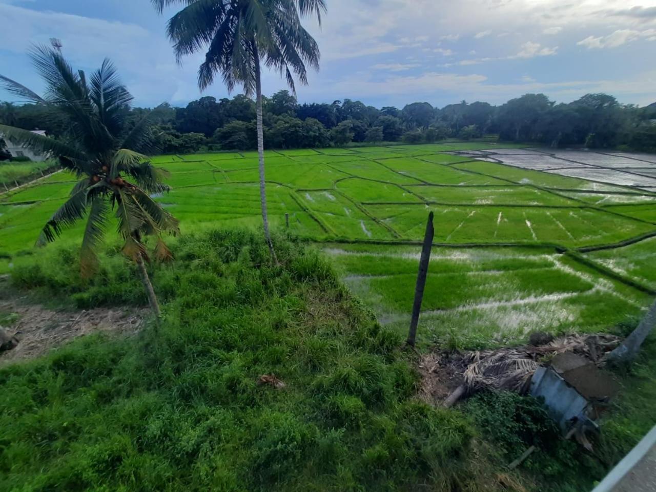 Anuradhapura Kingdom View Resort Εξωτερικό φωτογραφία